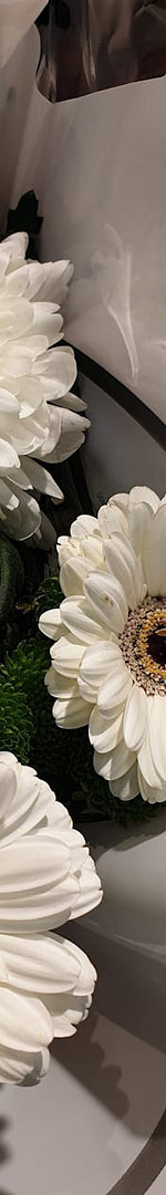 Search Intent for Bloggers: Write Posts People Actually Want (And Watch Google Reward You For It) 6 high angle view of white flowers