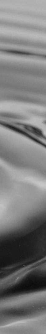 From Freelance Service to Digital Product: Scale Your Skills 3 body of water