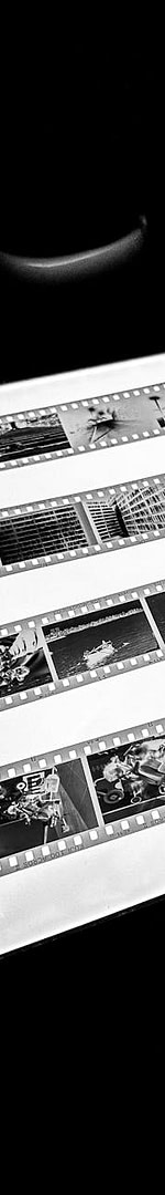 SEO for Topic Experts: Turn What You Already Know Into Google Traffic, Authority, and Subscribers 8 black and white film negatives with loupe