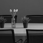potted plants and a vase with tulips on the table