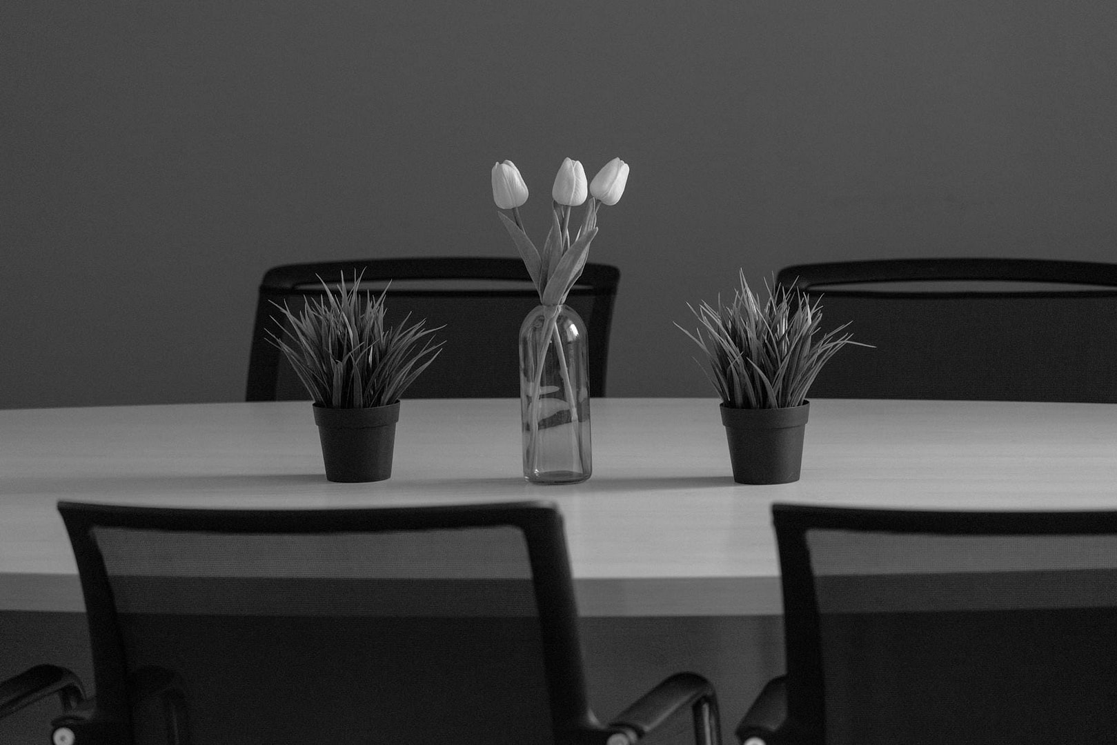How to Rewire Your Brain for Success: The Neuroplasticity Blueprint That Actually Works 10 potted plants and a vase with tulips on the table