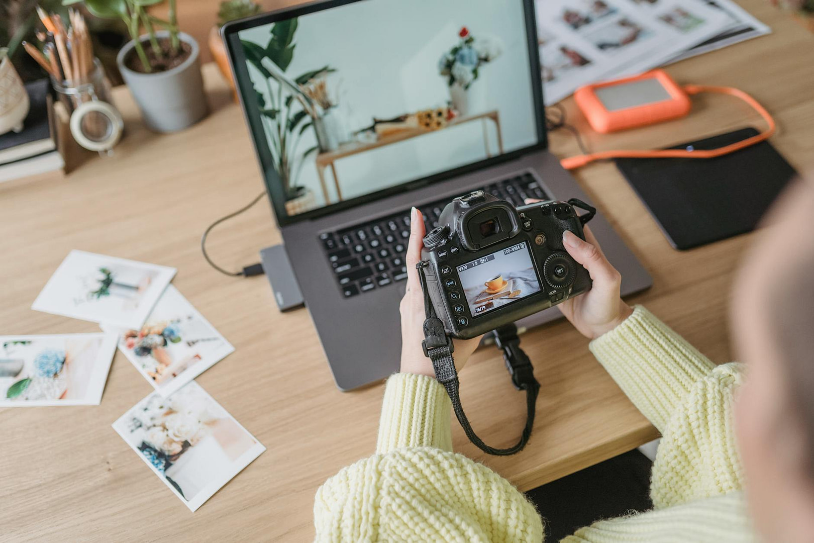 unrecognizable photographer looking at photo in camera