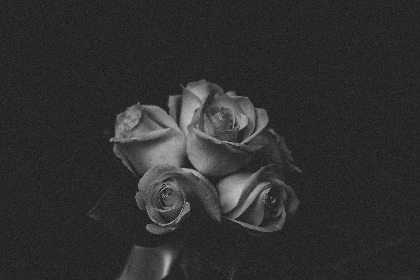 The Brutal Truth About Why You're Still Broke (And The Dirty Little Secret That Changed Everything) 1 digital product strategy grayscale photo of roses