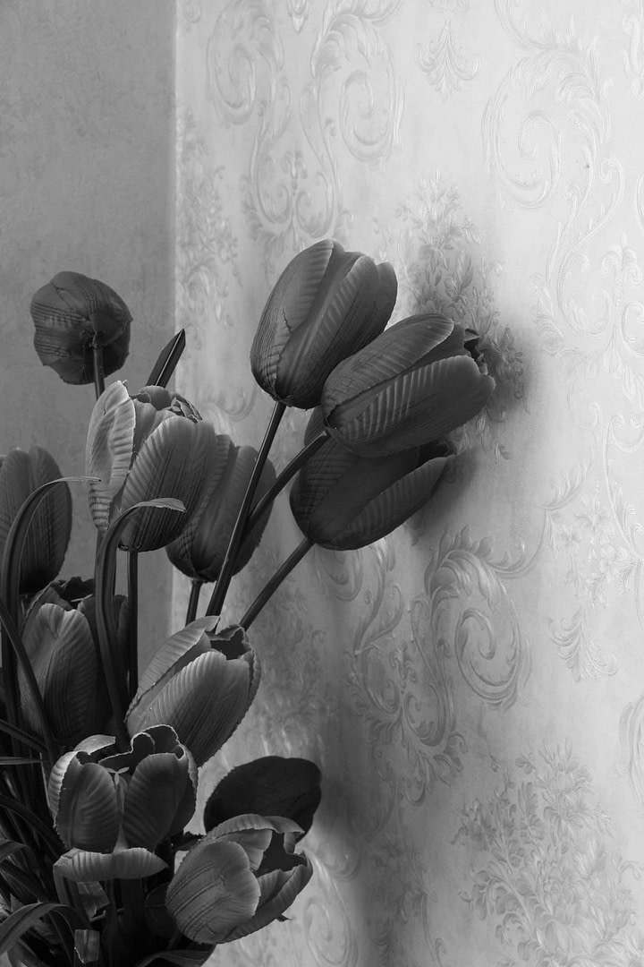 Tulips rest next to patterned wallpaper.