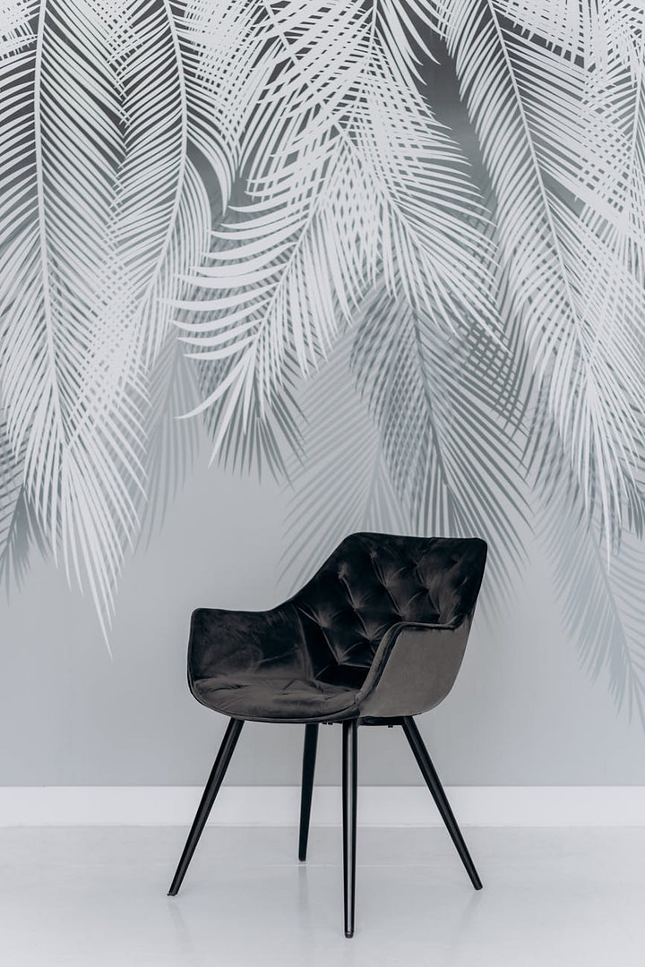 black chair beside green palm plant