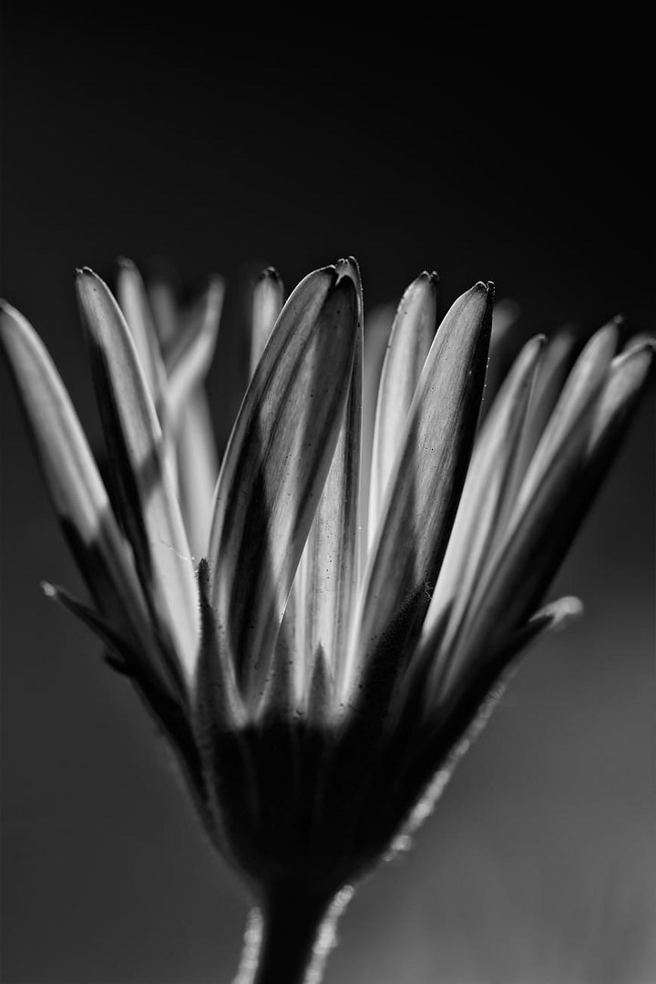 The Stupid-Simple Way Digital Product Creators Are Adding $3,000-$7,000 Per Month Without Creating New Products (And Why You're Probably Leaving This Money on the Table Right Now) 1 digital products upsells