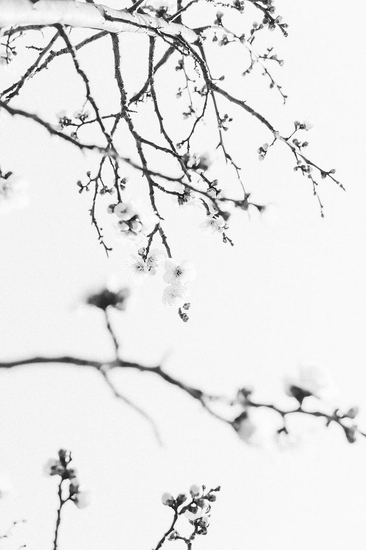 The "Invisible Profit Pockets" Most Marketers Walk Right Past (And How to Own Them) 1 micro-niche marketing