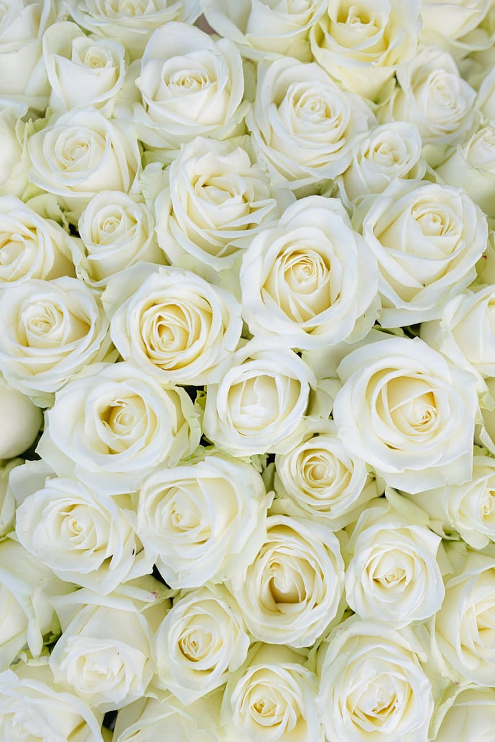 The Dirty Secret About Your Blog Traffic:98% of Your Visitors Leave Forever— Unless You Do This 1 retargeting for bloggers