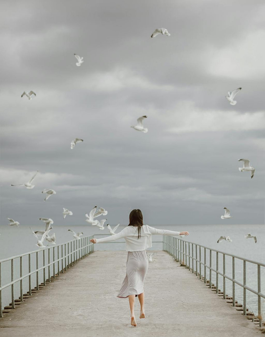 EO Content Domination Toolkit Your Complete Arsenal for Search Engine Supremacy seagulls flying over a woman walking on a dock
